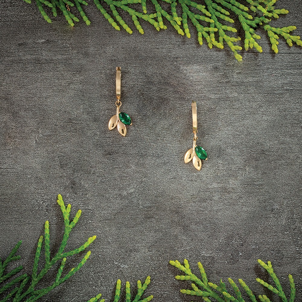 suggest image