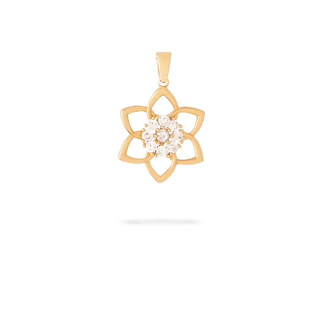 2102-white-e1737471010441